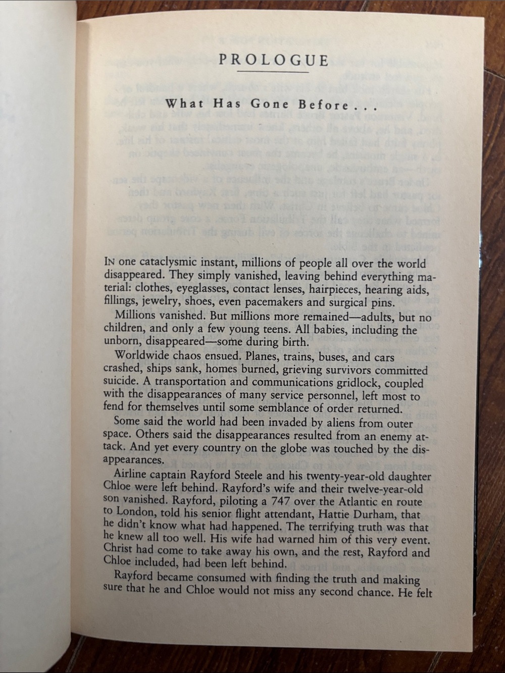 2Book Bundle by Tim LaHaye & Jerry B. Jenkins - Picture 5 of 10
